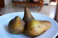 pears